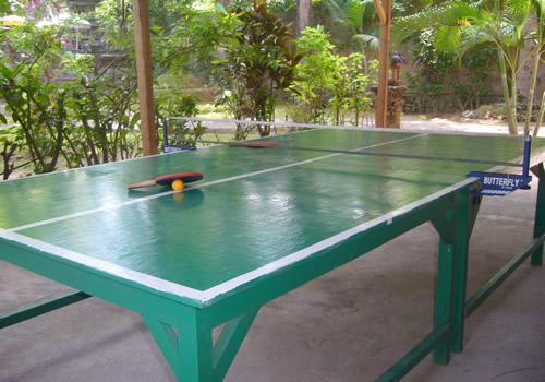 pingpong