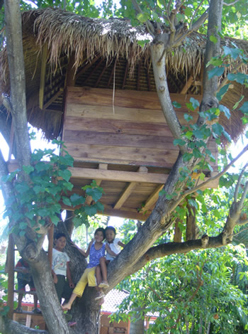 Tree house